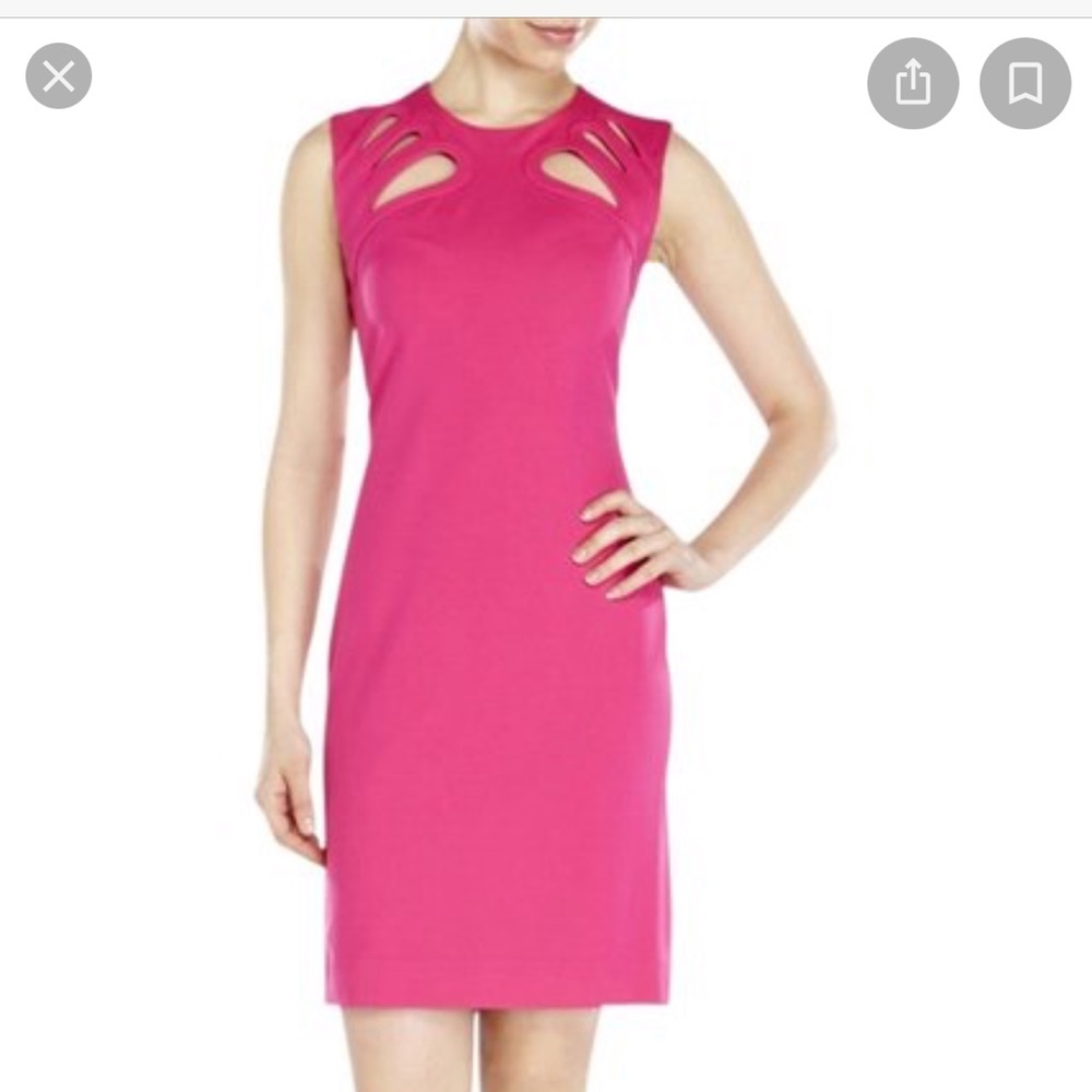 🌺 Diane von Furstenberg; STUNNING Fuschia Dress 0 - Picture 3 of 16